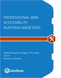 Professional Web Accessibility Auditing Made Easy