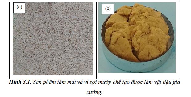Nghiên cứu chế tạo vật liệu polymer composite trên cơ sở nhựa epoxy Epikote 828 gia cường bằng xơ sợi mướp, định hướng ứng dụng làm vật liệu trong công nghiệp chế tạo ô tô