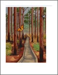 Applied Ecology