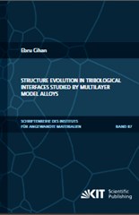 Structure evolution in tribological interfaces studied by multilayer model alloys