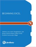 Beginning Excel