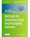 Methods for Analyzing Large Neuroimaging Datasets