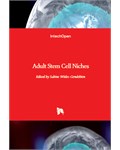 Adult Stem Cell Niches