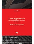 Urban Agglomeration: Extracting Lessons for Sustainable Development