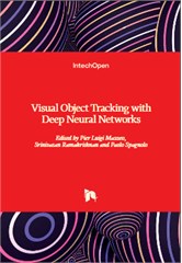 Visual Object Tracking with Deep Neural Networks