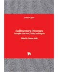 Sedimentary Processes: Examples from Asia, Turkey and Nigeria