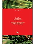 Conifers: Recent Advances