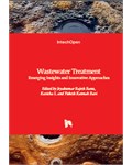 Wastewater Treatment: Emerging Insights and Innovative Approaches
