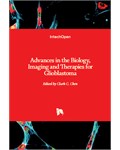 Advances in the Biology, Imaging and Therapies for Glioblastoma