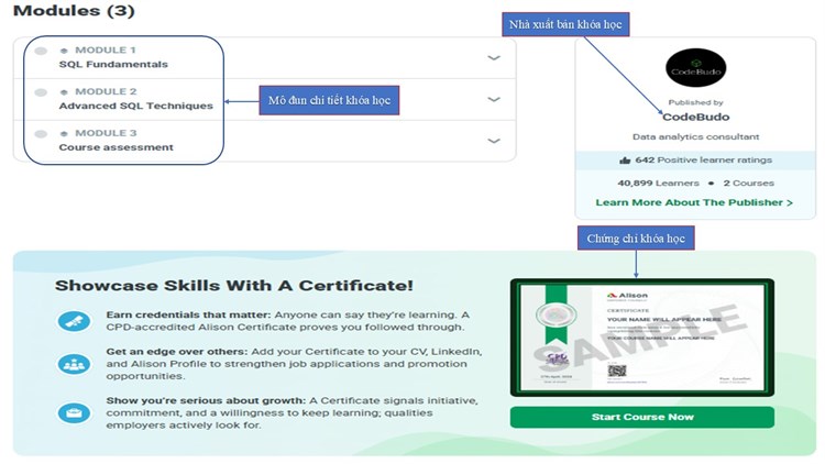 [Alison] Khóa học miễn phí “SQL Server for Data Analysis” – Phân tích dữ liệu với SQL Server