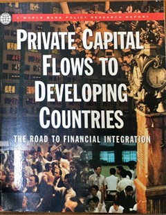 Private capital flows to developing countries: The road to financial integration