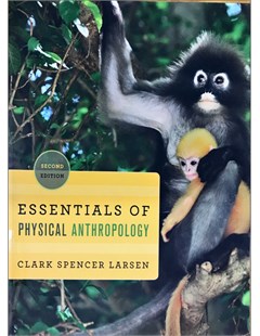 Essentials of physical anthropology : Discovering our origins 