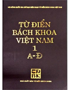 Từ điển bách khoa Việt Nam 1 A - D ( tái bản 2007)
