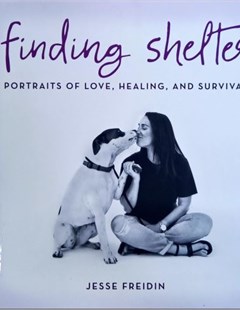Finding shelter: Portraits of love, healing, and survival