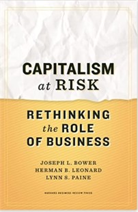 Capitalism at risk : Rethinking the role of business 