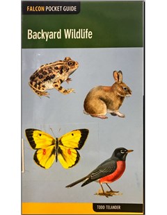 Falcon pocket guide: Backyand windlife