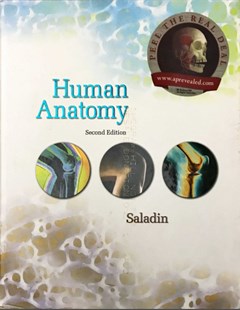 Human development, second edition