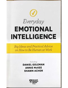 Everyday Emotional Intelligence: Big Ideas and Practical Advice on How to be Human at Work