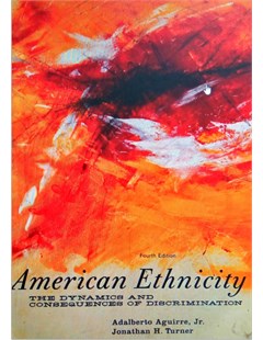 American Ethnicity: The Dynamics and Consequences of Discrimination 4th Edition