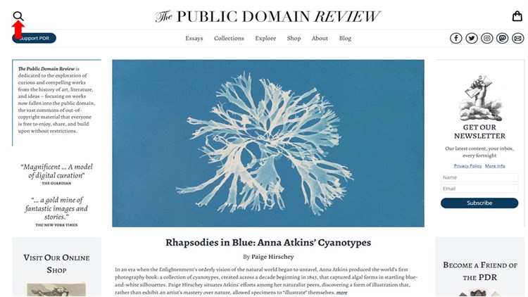 The Public Domain Review tạp chí trực tuyến và dự án phi lợi nhuận giới thiệu quảng bá và tôn vinh các tác phẩm thuộc phạm vi công cộng