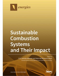 Sustainable Combustion Systems and Their Impact