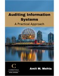 Auditing Information Systems: A Practical Approach