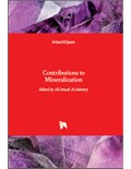 Contributions to Mineralization