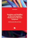 Simulation and Modelling of Electrical Insulation Weaknesses in Electrical Equipment