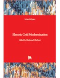 Electric Grid Modernization