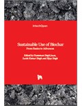 Sustainable Use of Biochar: From Basics to Advances