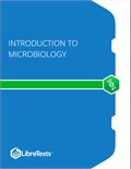 Introduction to Microbiology