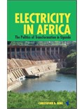 Electricity in Africa: The Politics of Transformation in Uganda