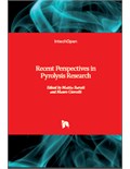 Recent Perspectives in Pyrolysis Research