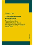 The Natural Gas Conundrum: Transformation of the Central Asian Energy Security Complex after 1991