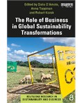 The Role of Business in Global Sustainability Transformations