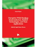 Disruptive Wide Bandgap Semiconductors, Related Technologies, and Their Applications