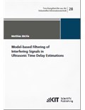 Model-based Filtering of Interfering Signals in Ultrasonic Time Delay Estimations
