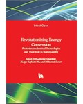 Revolutionizing Energy Conversion: Photoelectrochemical Technologies and Their Role in Sustainability