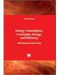 Energy Consumption, Conversion, Storage, and Efficiency