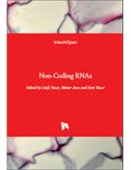 Non-Coding RNAs