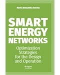 Smart Energy Networks: Optimization Strategies for the Design and Operation