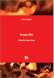 Forest Fire