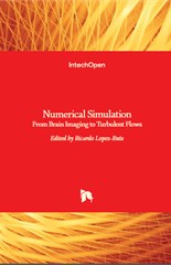 Numerical Simulation - From Brain Imaging to Turbulent Flows