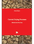 Current Drying Processes