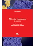 Molecular Mechanisms in Cancer