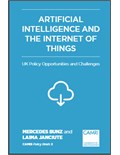 Artificial Intelligence and the Internet of Things: UK Policy Opportunities and Challenges