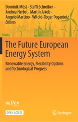 The Future European Energy System
