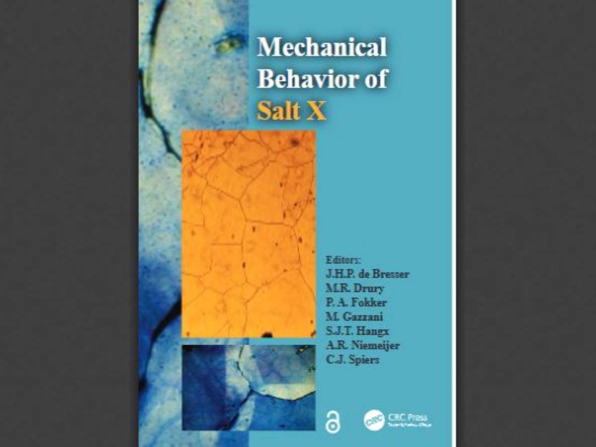 The Mechanical Behavior of Salt X