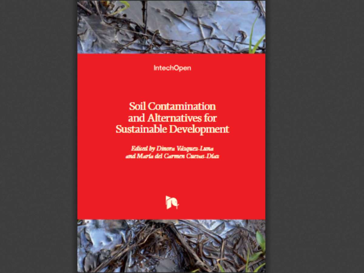 Soil Contamination and Alternatives for Sustainable Development