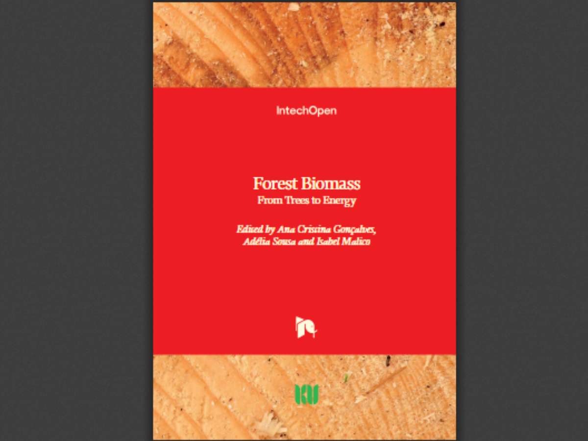 Forest Biomass: From Trees to Energy